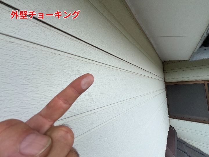 外壁のコケとチョーキングの原因・対策を徹底解説！市原市国分寺台で見られる外壁劣化の実例