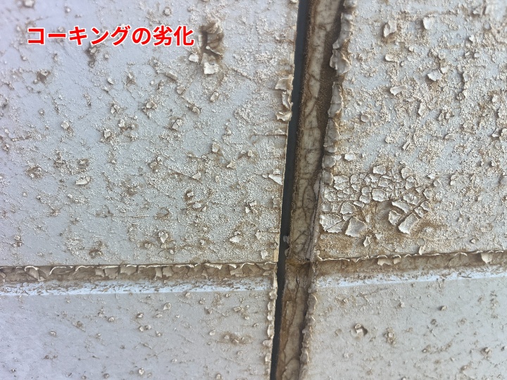 コーキングの劣化が招く外壁トラブルと千葉市での現地調査の重要性