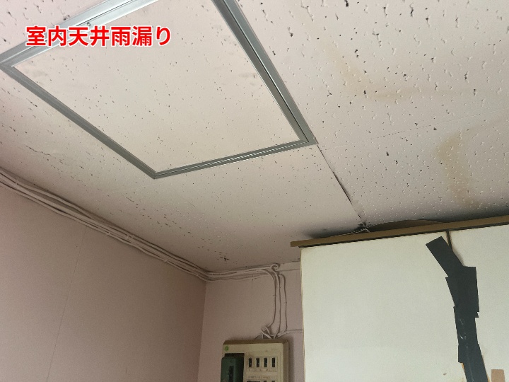 船橋市習志野で多発する雨漏りの原因とは？室内天井と外壁からの浸水事例と対策を徹底解説