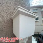 集水桝