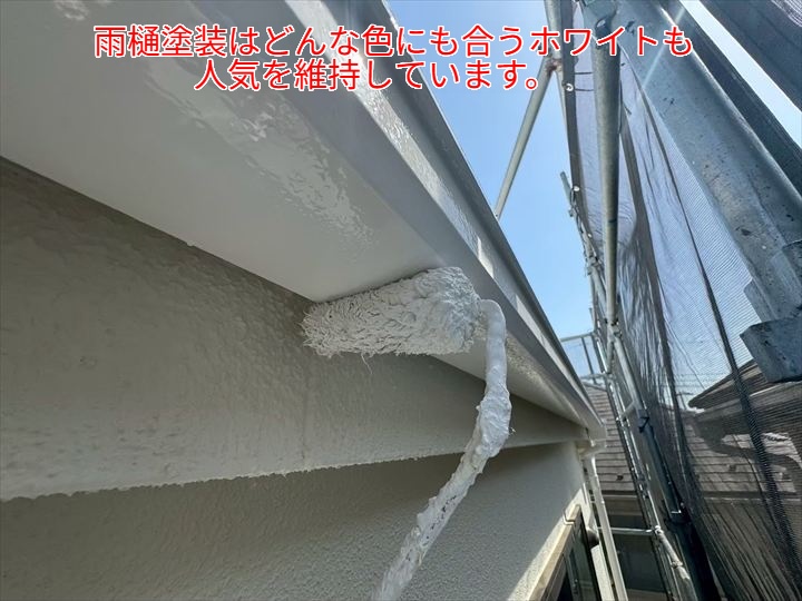 雨樋塗装の人気色とその魅力｜雨樋メンテナンスの基本と塗装のポイント