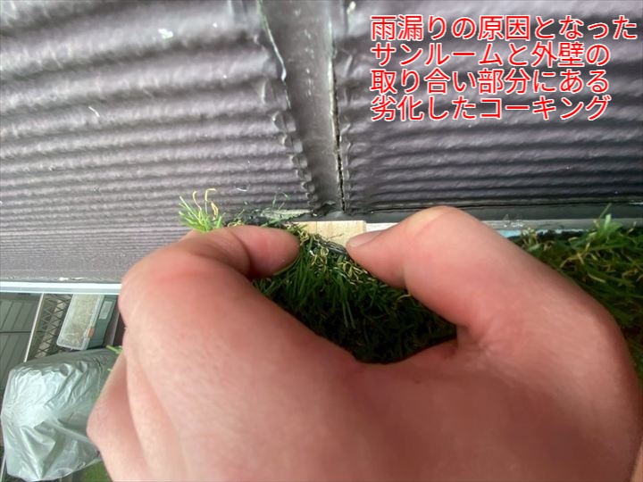 サンルーム雨漏り