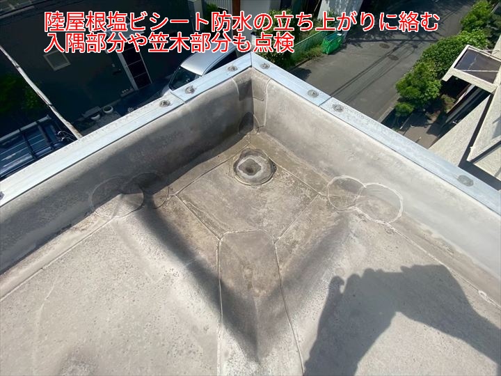 入隅や笠木周辺の立ち上がり部分も重要チェックポイント