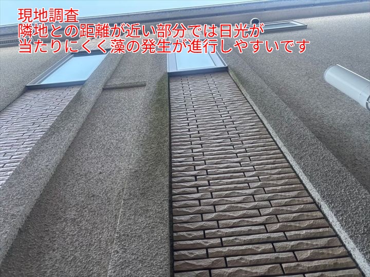 日当たりの悪い箇所では藻やカビが発生