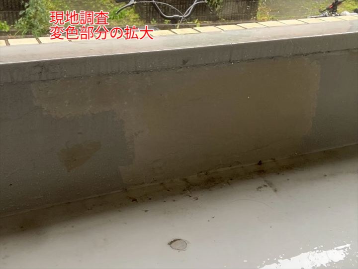 立ち上がり面にも変色が広がっている様子。防水層に影響が出る前の対応が望まれる。