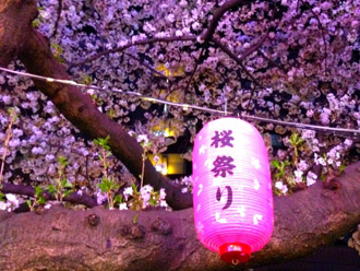 桜祭りが開催されている公園