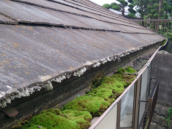 屋根の劣化と雨樋の詰まり