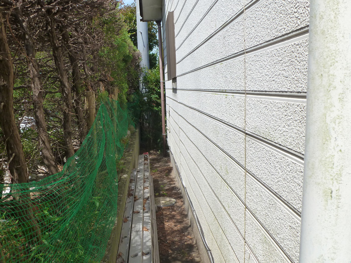 外壁　苔の発生する原因