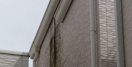 雨樋の不具合は外壁の劣化に繋がることもあります