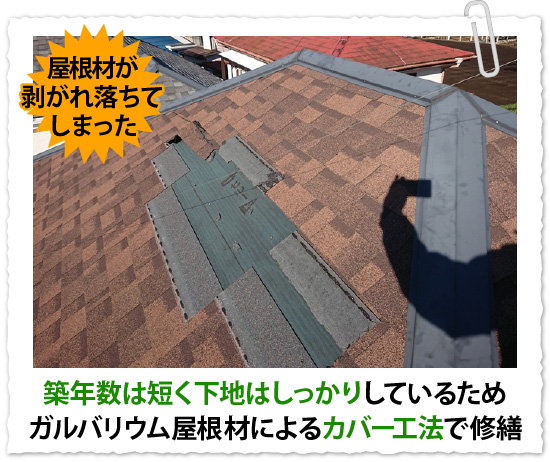 築年数は短く下地はしっかりしているためガルバリウム屋根材によるカバー工法で修繕