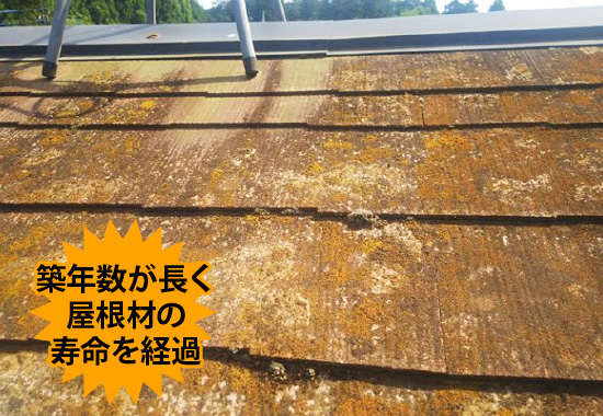 築年数が長く屋根材の寿命を経過
