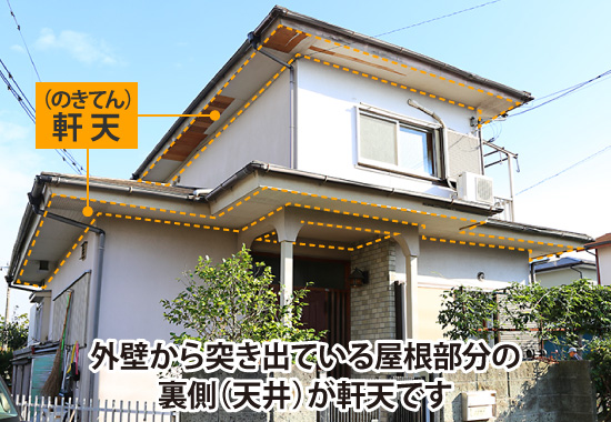 外壁から突き出ている屋根部分の裏側（天井）が軒天です