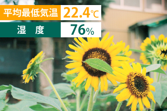 平均最低気温22.4℃・湿度76%