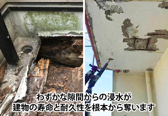 わずかな隙間からの浸水が建物の寿命と耐久性を根本から奪います