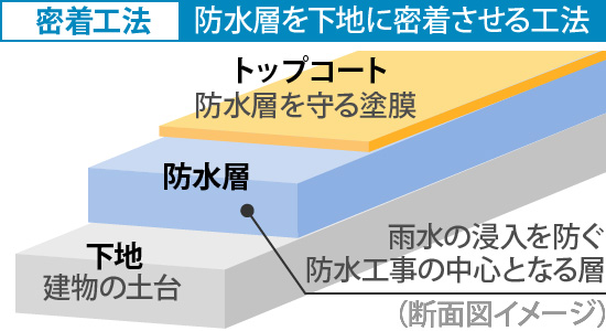 密着工法における防水層は、トップコートと下地の間にあり雨水の浸入を防ぐ防水工事の中心となる層