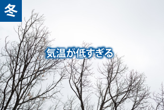 冬 気温が低すぎる