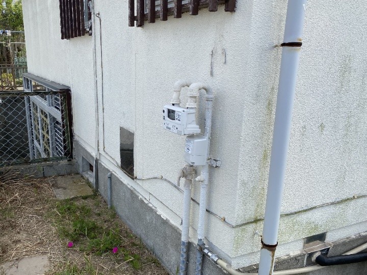 苔が付着した外壁面