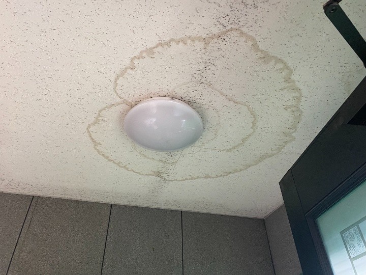 天井に広がる雨染みの確認