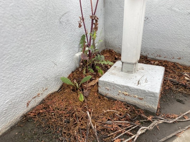 排水まわりの詰まり要因を確認