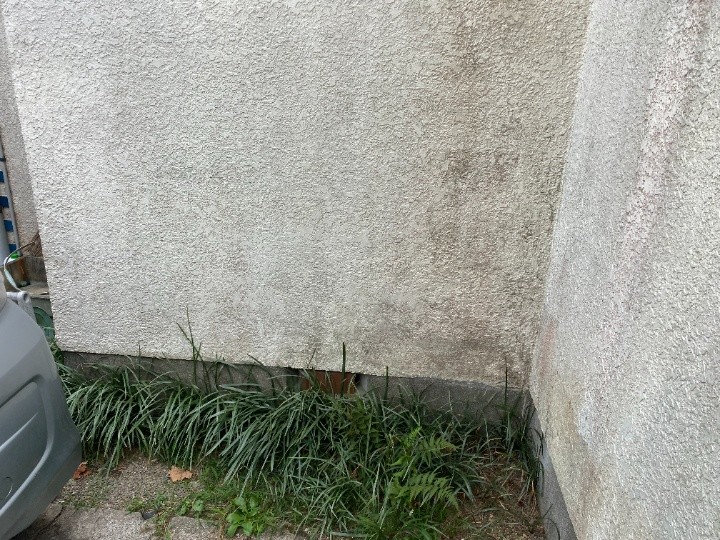 苔の付着と湿気の影響