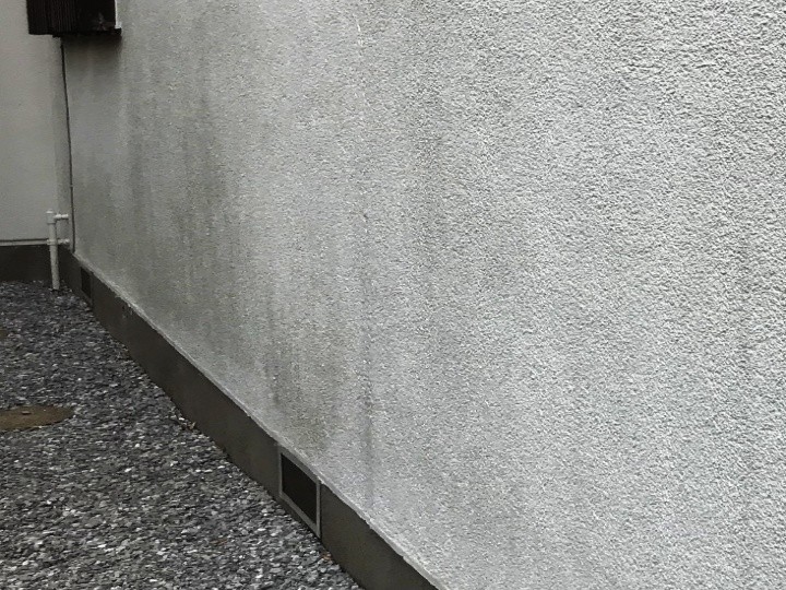 苔汚れが出た外壁下部