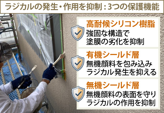 ラジカルの発生・作用を抑制 : 3つの保護機能