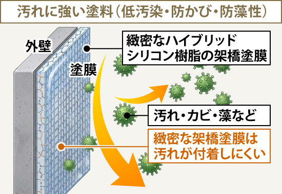 汚れに強い塗料（低汚染・防かび・防藻性）