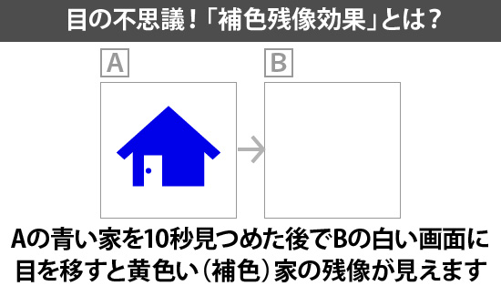 目の不思議!「補色残像効果」とは?