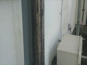 傷んだ木部