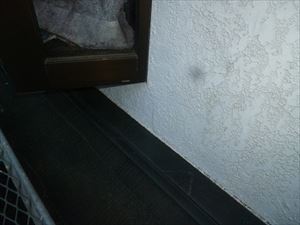 大きめのクラックを発見
