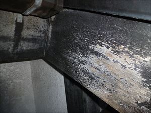 塗装のすっかり剥がれた破風板