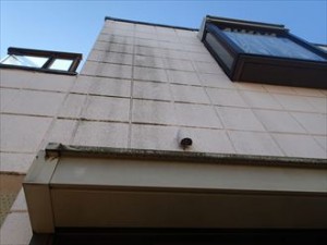 陽があたらないところの苔、汚れ