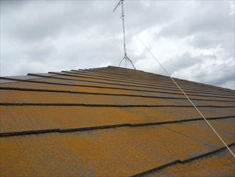 武蔵野市　外壁・屋根調査　屋根　コロニアル