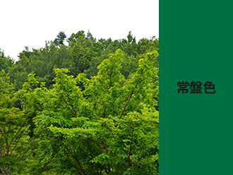 常緑樹の色が常盤色