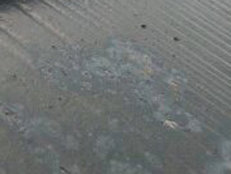 横浜市鶴見区　屋根塗装　塗膜が剥がれている
