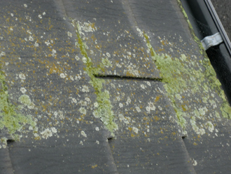 練馬区　屋根塗装　苔とカビ