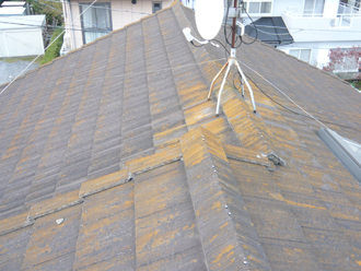 大田区　屋根塗装の事前調査　苔の生えた屋根