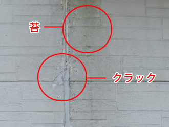 大田区　外壁塗装　事前調査　苔やクラックが発生している