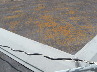 大田区　屋根塗装　苔の発生