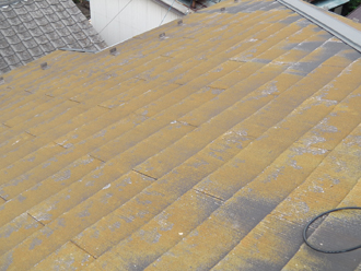 渋谷区　外壁塗装と屋根塗装の事前調査　屋根に生えた苔