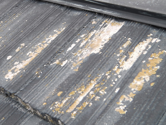 豊島区　セメント瓦の塗装前点検　塗膜の剥がれと苔の発生