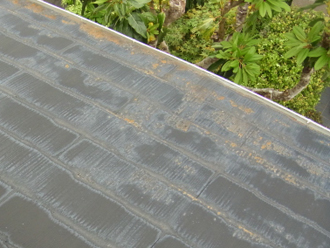 葛飾区　屋根塗装　事前調査　苔の発生と塗膜の剥がれ