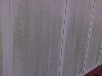 三鷹市　外壁塗装事前調査　苔の発生