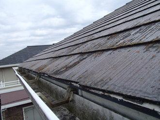 外壁塗装　屋根塗装　屋根　苔　高圧洗浄