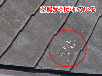 渋谷区　屋根塗装の事前調査　塗膜が剥がれている