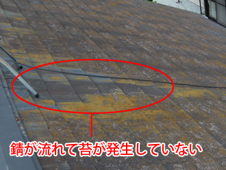 江東区　屋根塗装　事前調査　錆で苔が発生していない