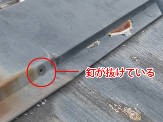 江東区　屋根塗装　事前調査　棟板金の固定用釘が抜けている