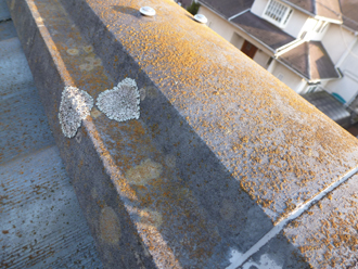 八王子市　外壁塗装と屋根塗装の事前調査　苔とカビ