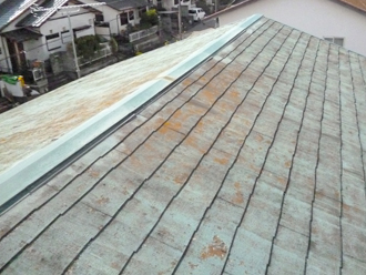 品川区　屋根塗装　事前点検　屋根に生えた苔やカビ