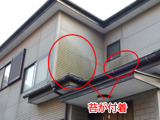 江東区　外壁塗装　屋根カバー工法　事前点検　苔の付着